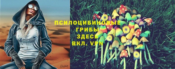 твердый Заволжск