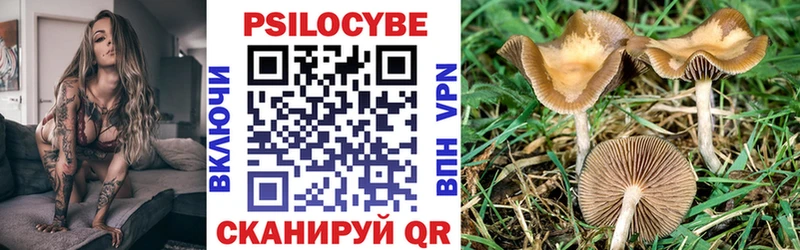 Купить закладки  Никольск  Галлюциногенные грибы Magic Shrooms 
